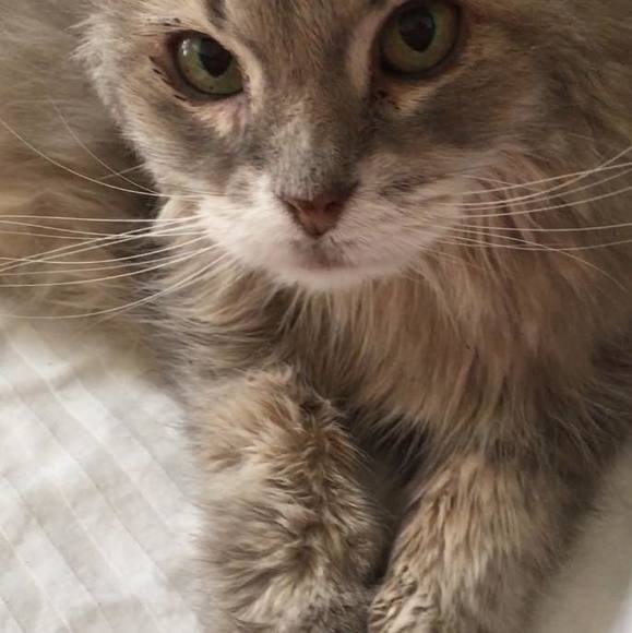 Meet your Posher, Deborah - Picture 1 of 1